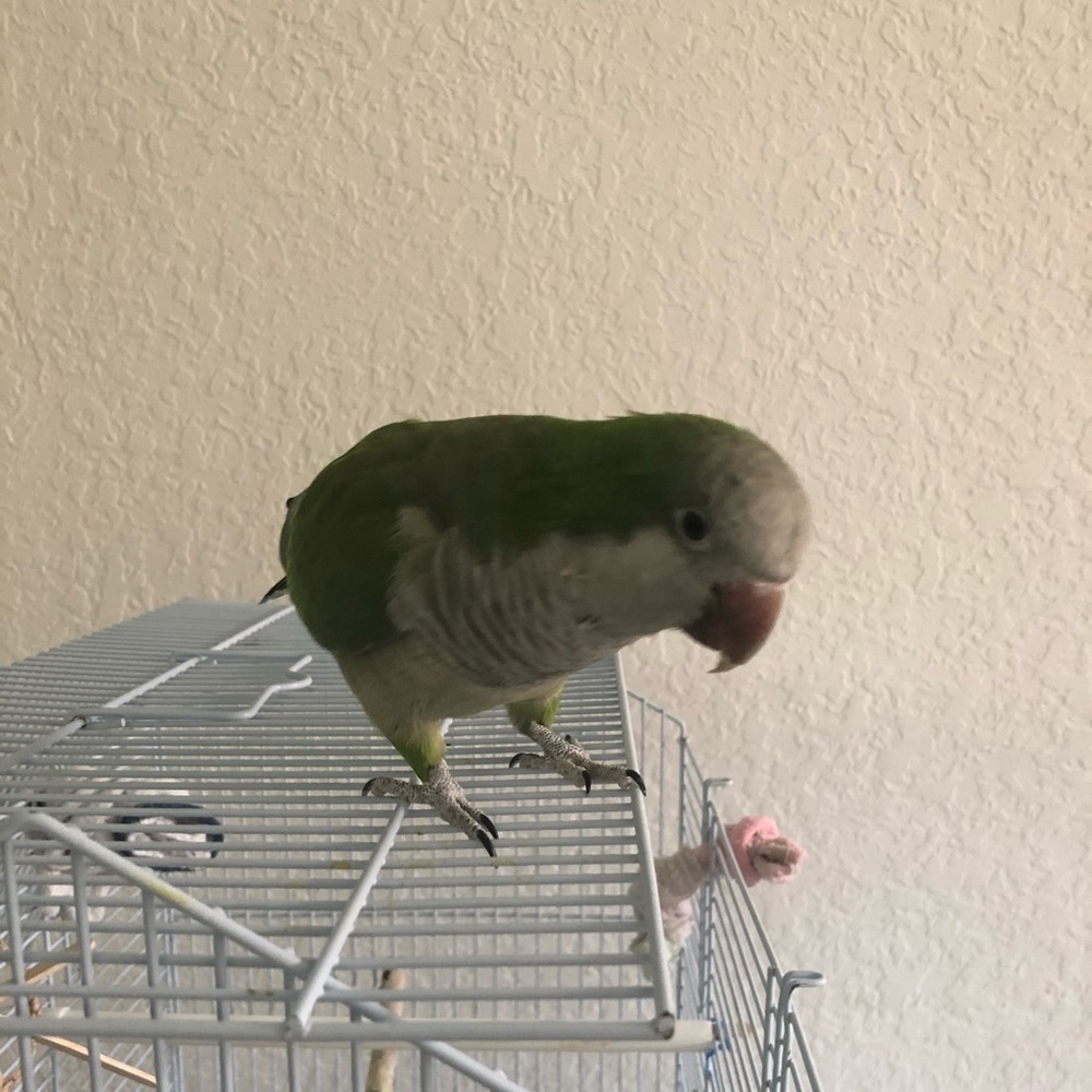 Meet your Posher, Matthew